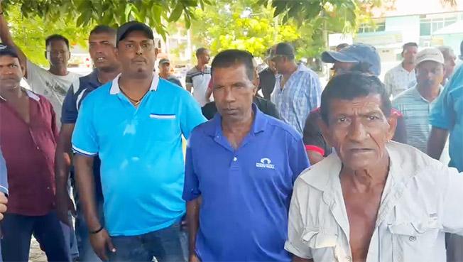 Description or Alt Text