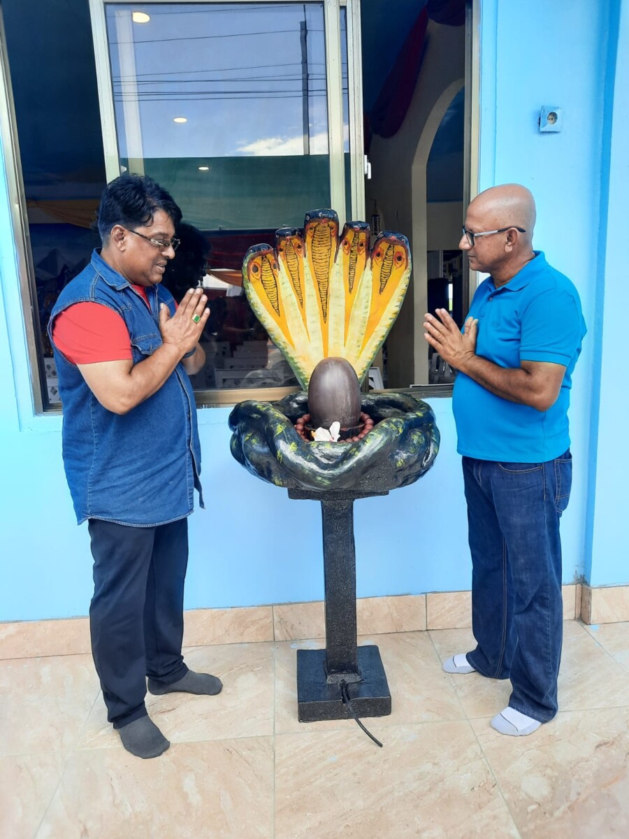 Description or Alt Text