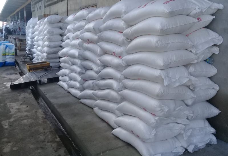 Description or Alt Text