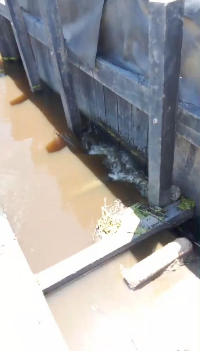 Description or Alt Text