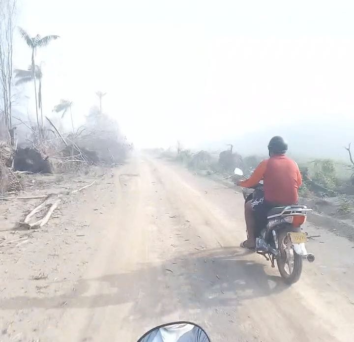 Description or Alt Text