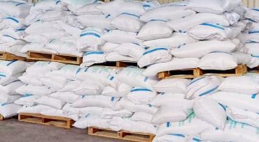 Description or Alt Text