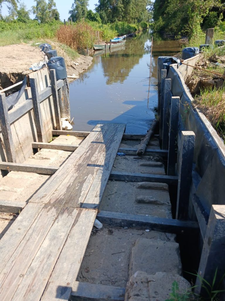 Description or Alt Text