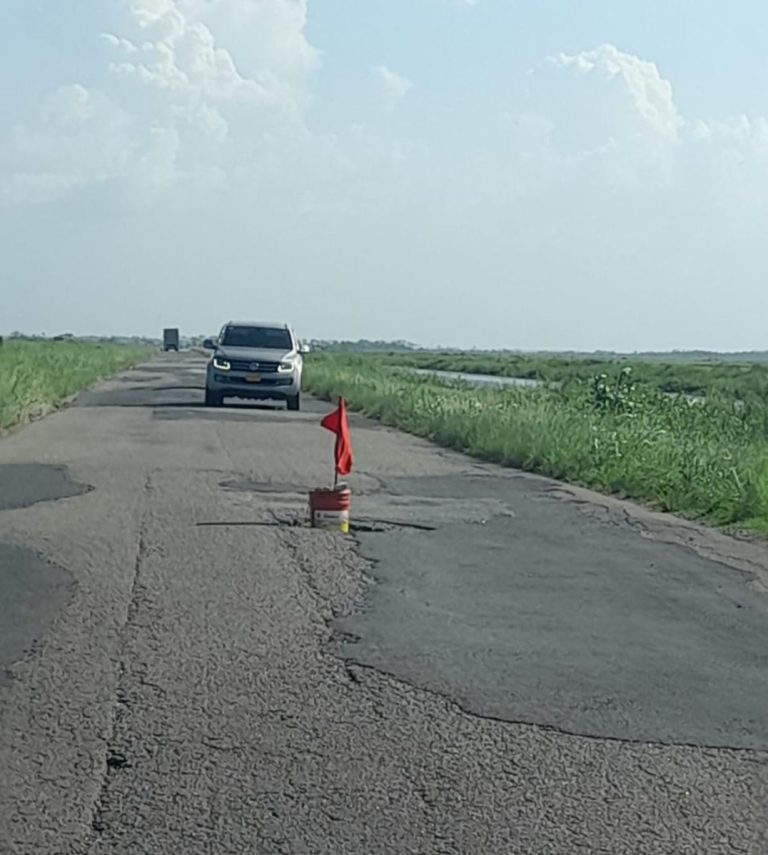 Description or Alt Text