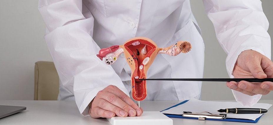 Description or Alt Text