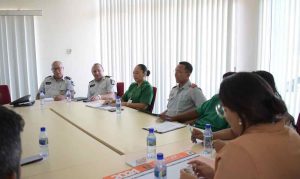 Description or Alt Text