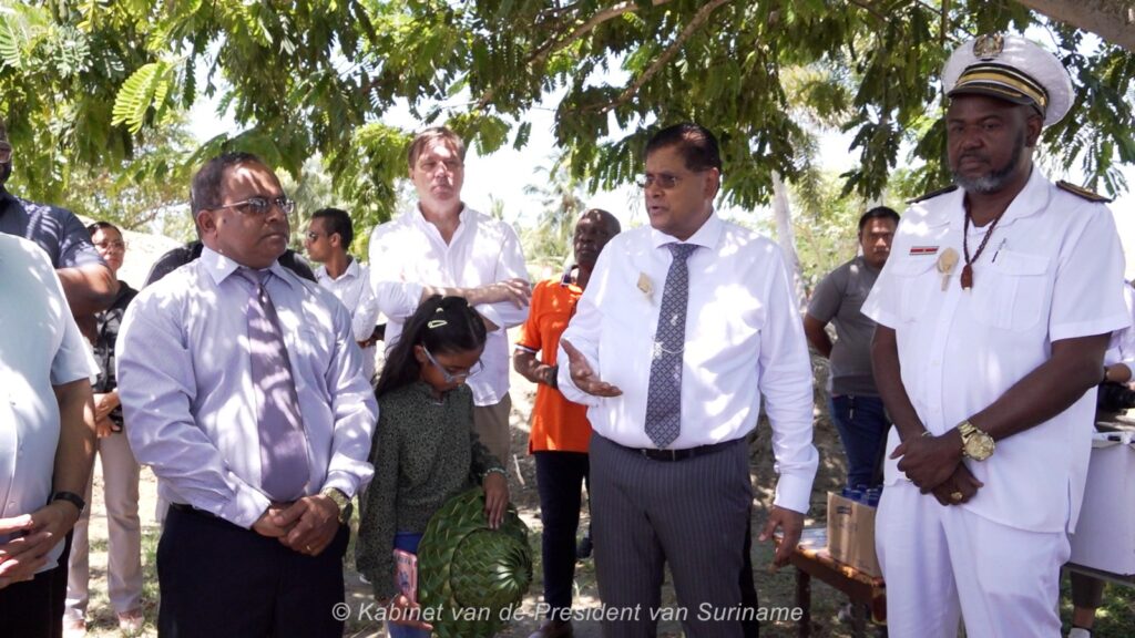 Description or Alt Text