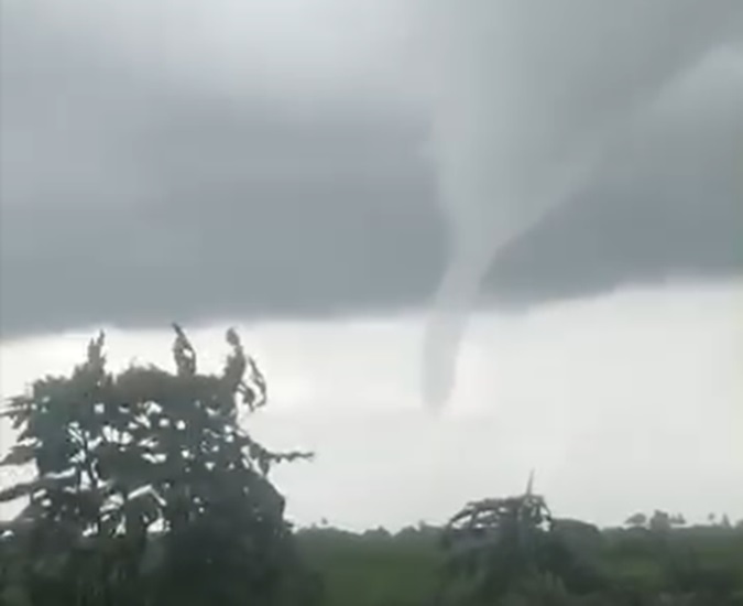 Description or Alt Text