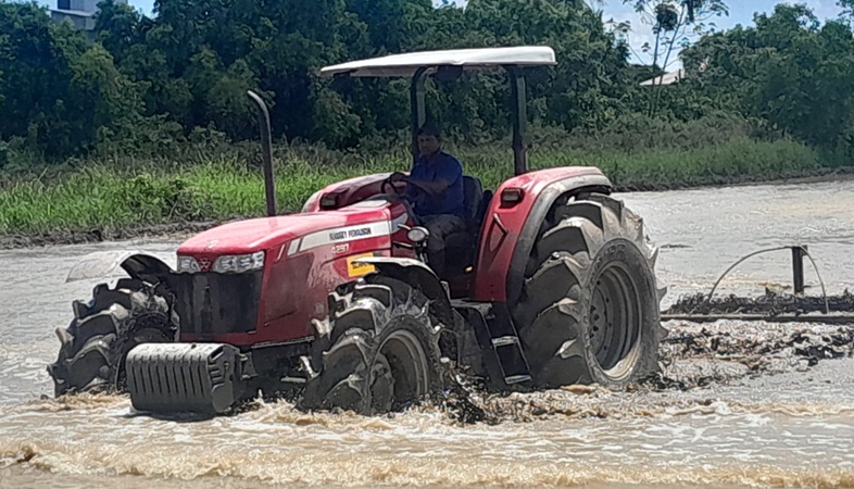 Description or Alt Text