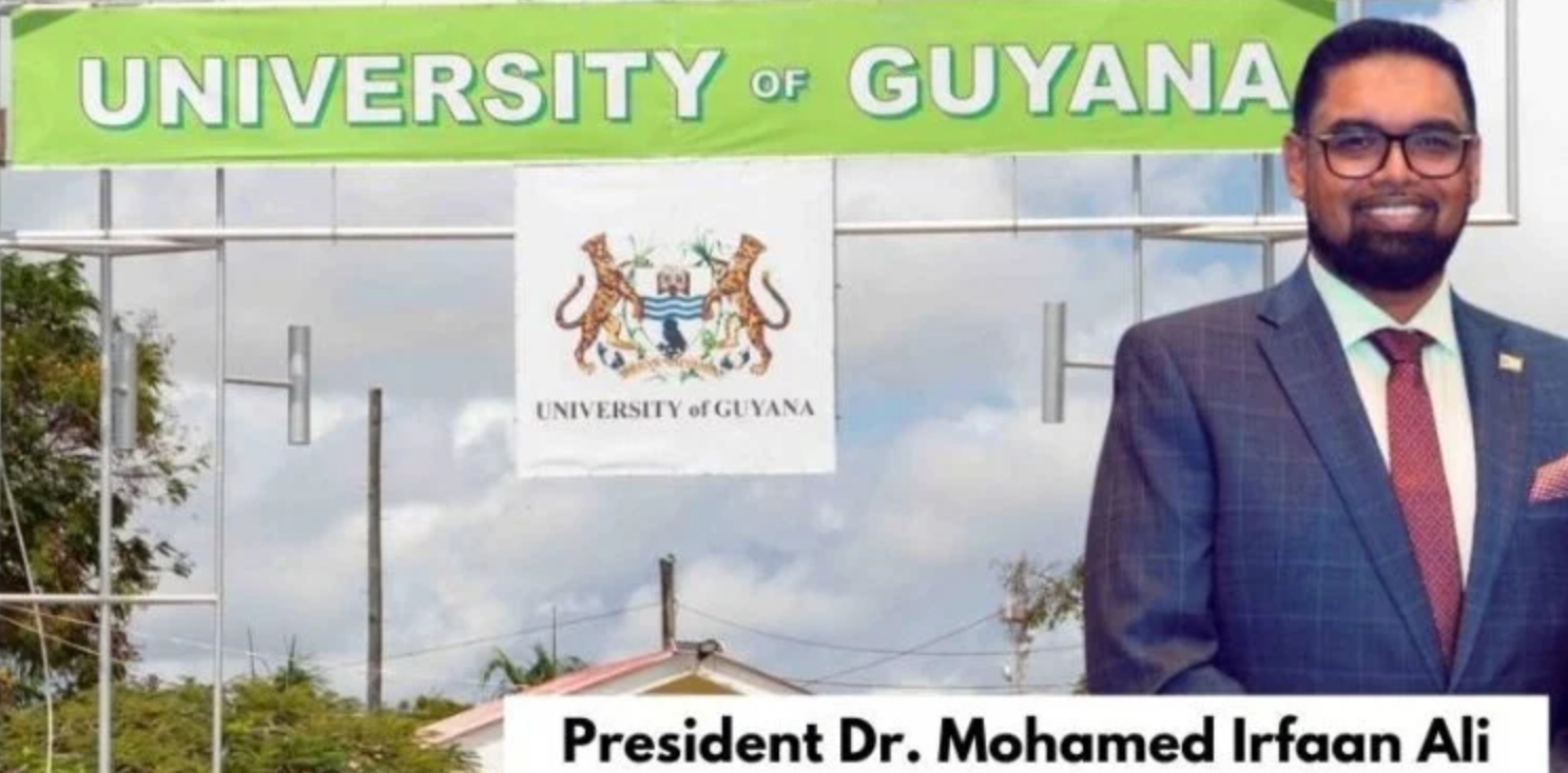 Description or Alt Text