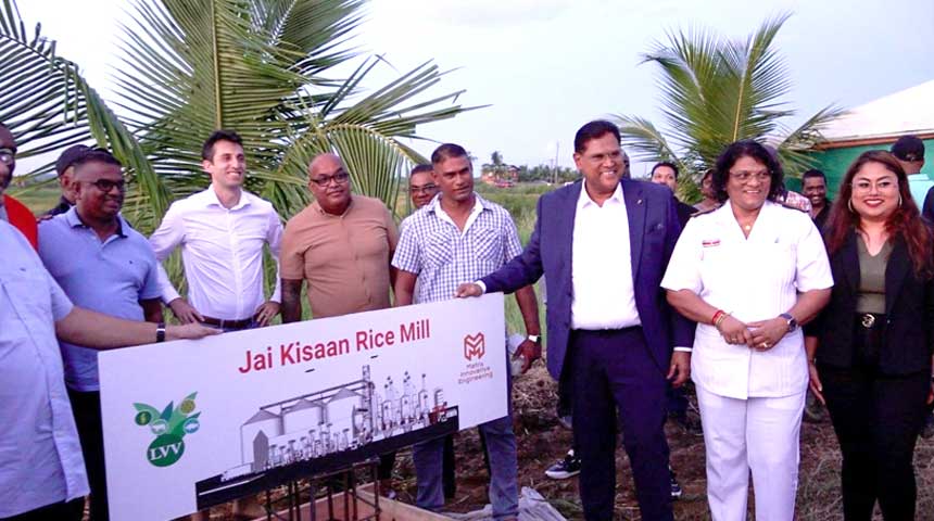 Description or Alt Text