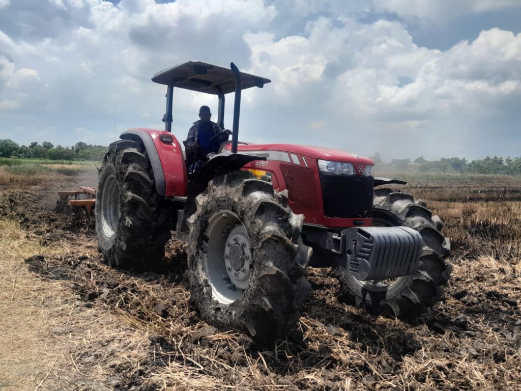 Description or Alt Text