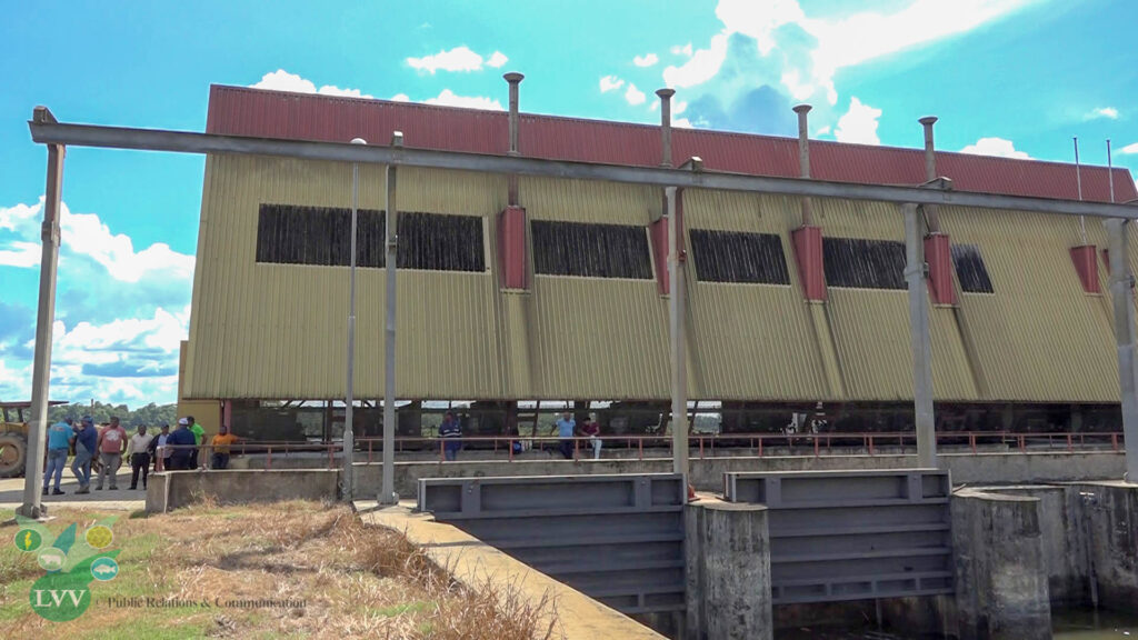 Description or Alt Text