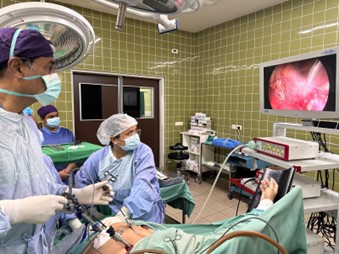 Description or Alt Text