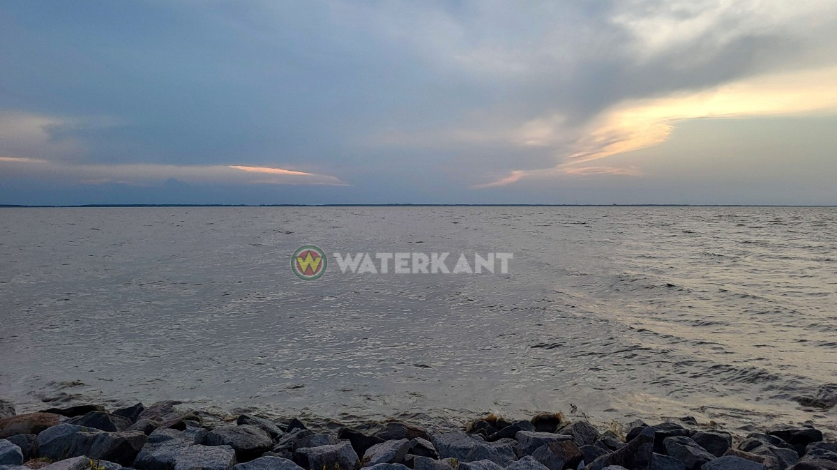 Description or Alt Text