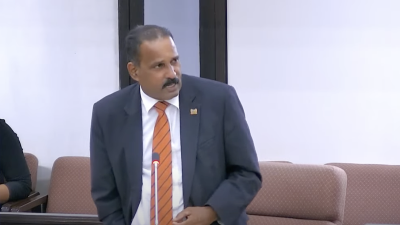 Description or Alt Text