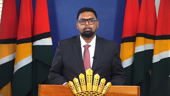 Description or Alt Text