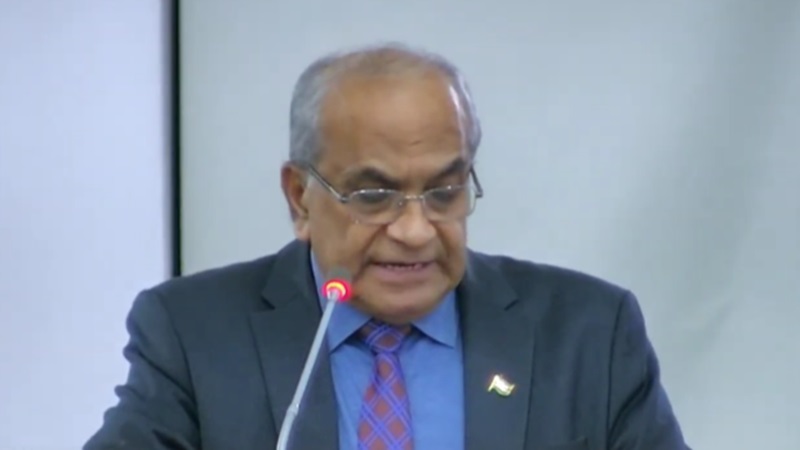 Description or Alt Text