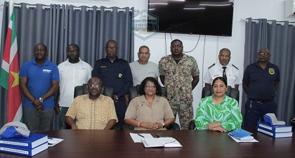 Description or Alt Text