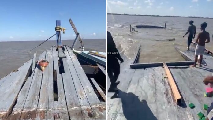 Description or Alt Text