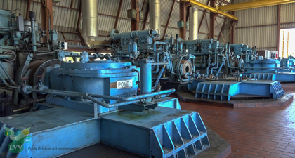 Description or Alt Text