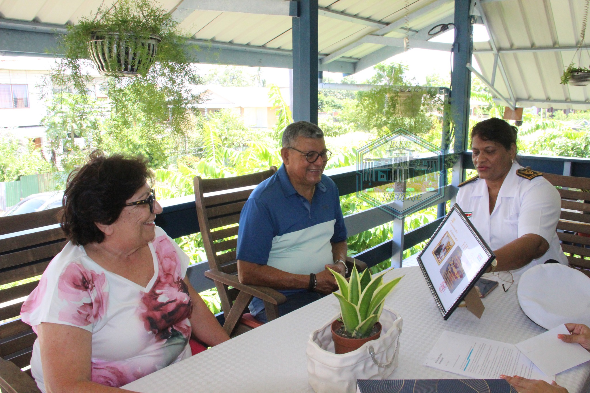 Description or Alt Text