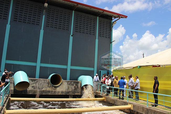 Description or Alt Text