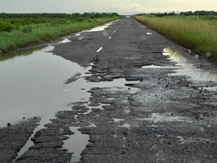 Description or Alt Text