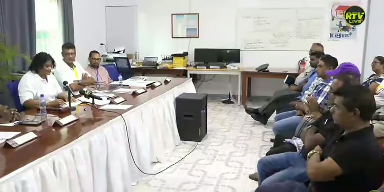 Description or Alt Text