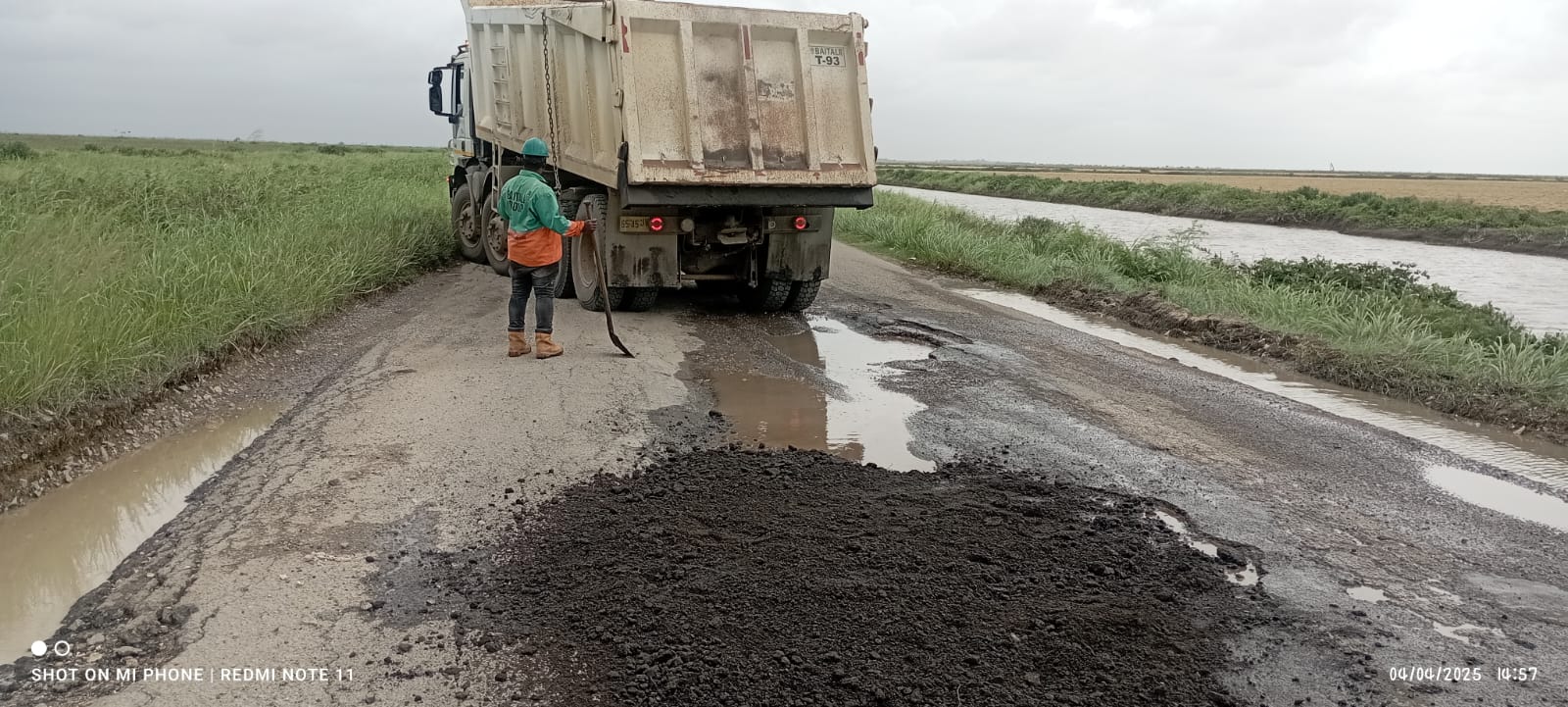 Description or Alt Text