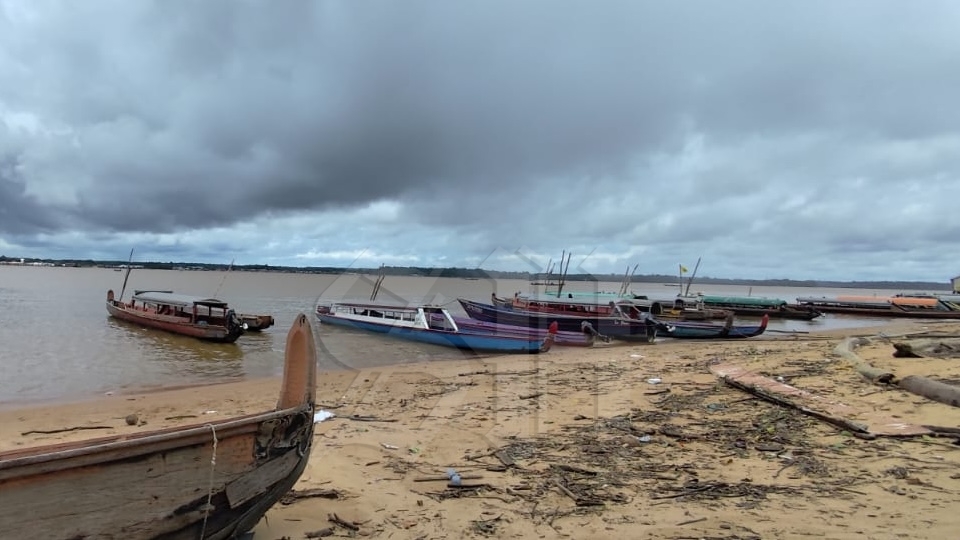 Description or Alt Text