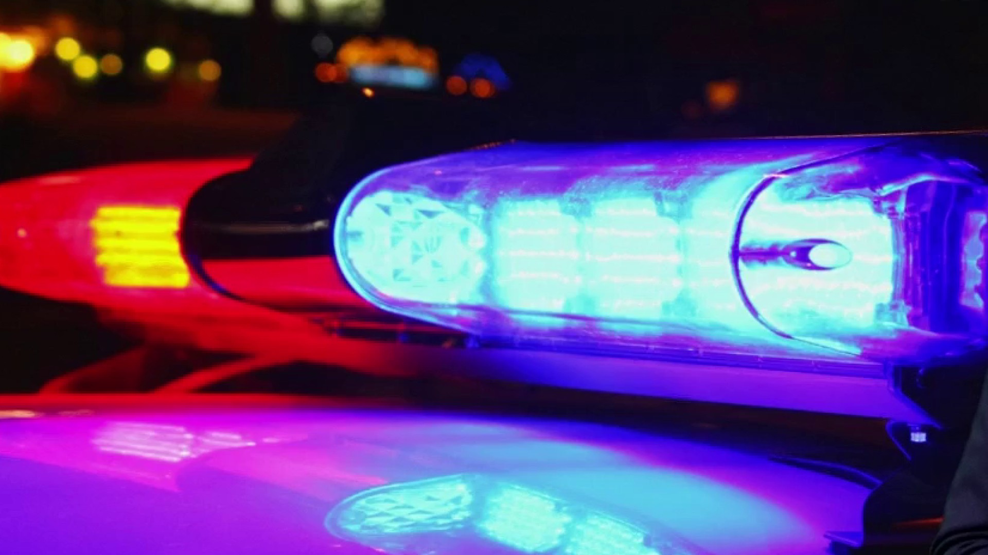 Description or Alt Text