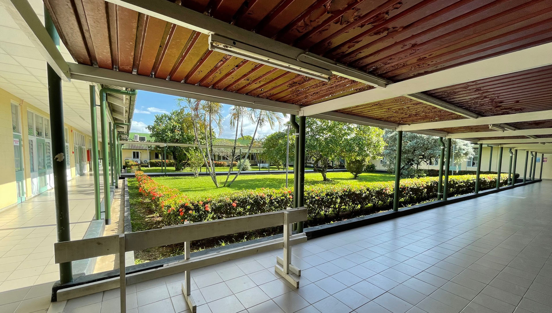 Description or Alt Text