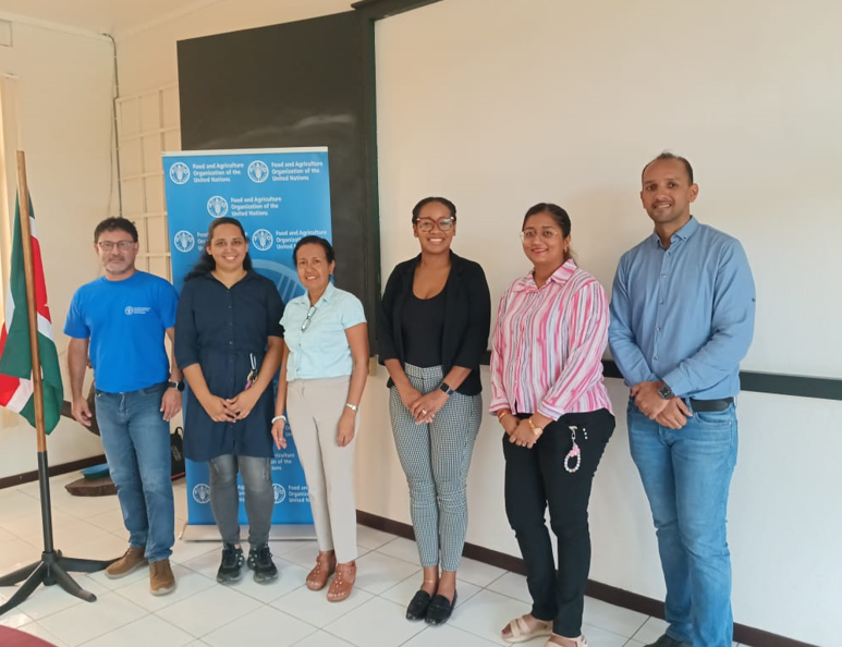 Description or Alt Text