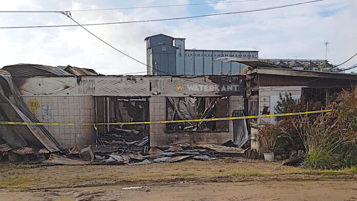 Description or Alt Text