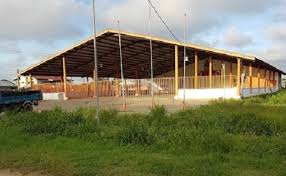 Description or Alt Text