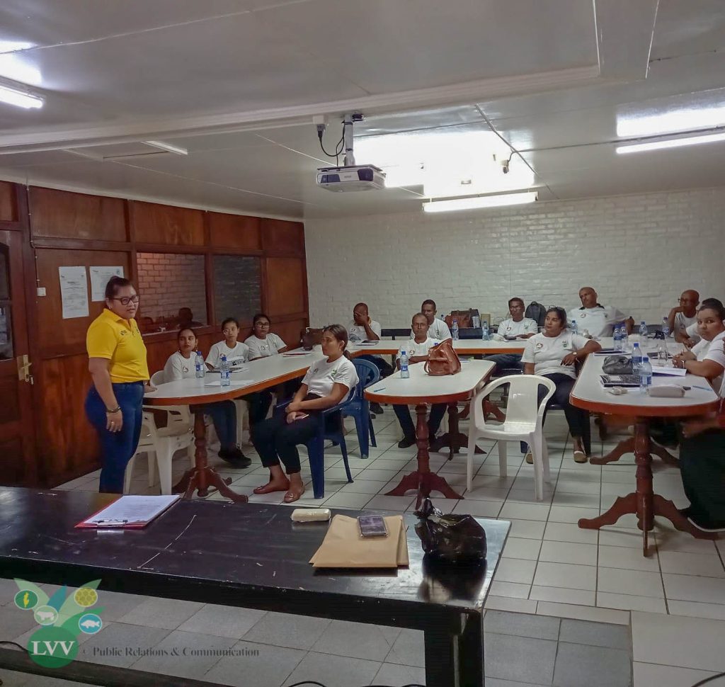 Description or Alt Text