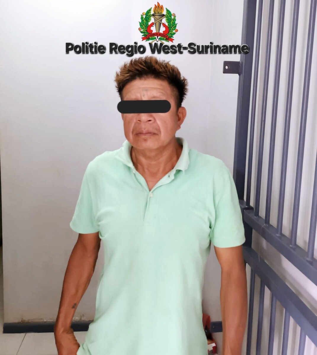 Description or Alt Text