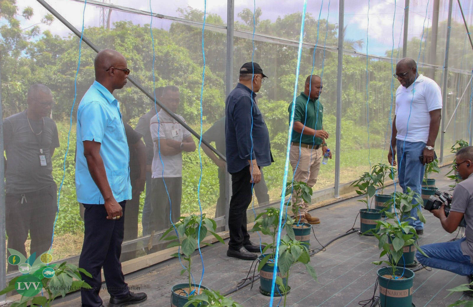 Description or Alt Text