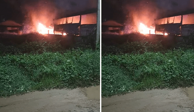 Description or Alt Text