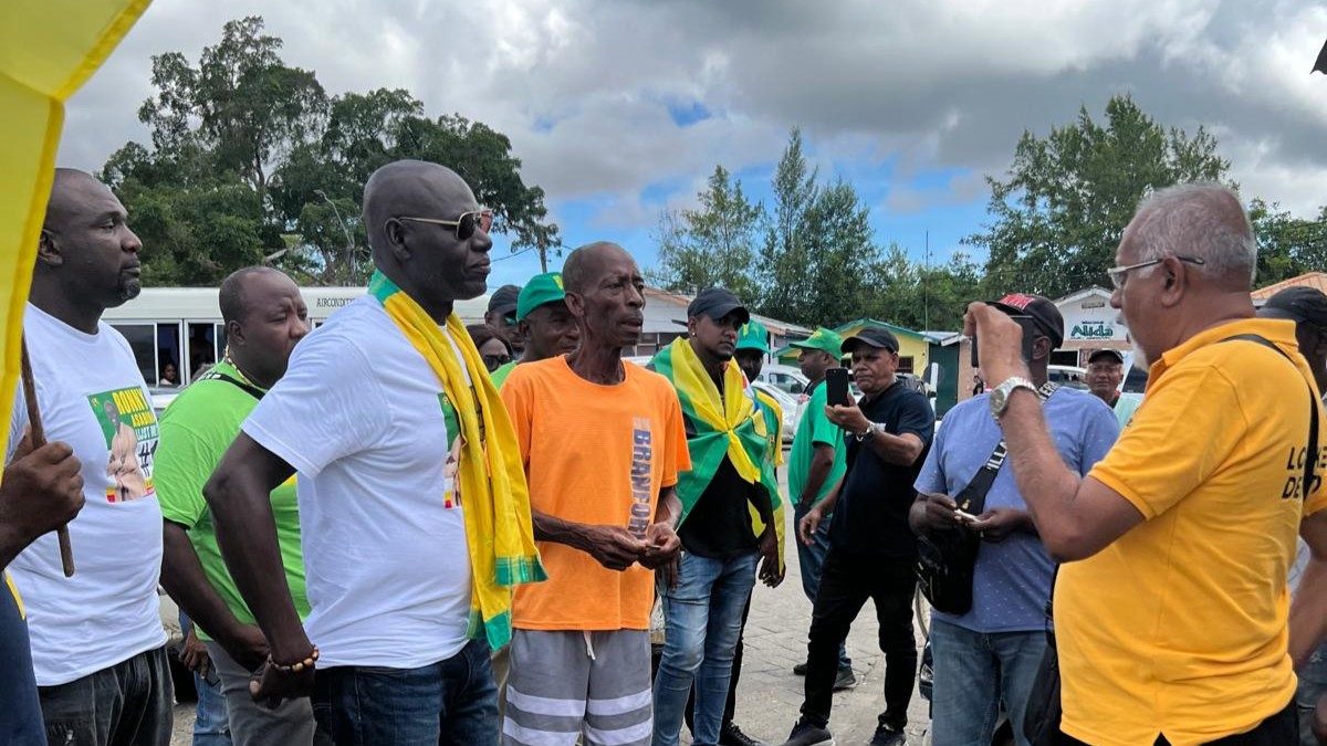 Description or Alt Text