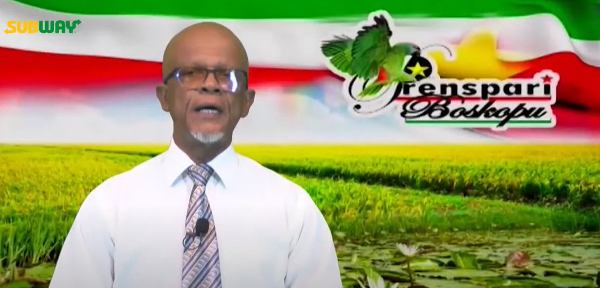 Description or Alt Text