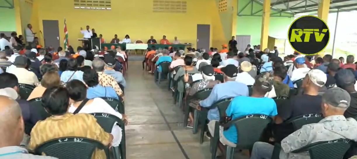 Description or Alt Text