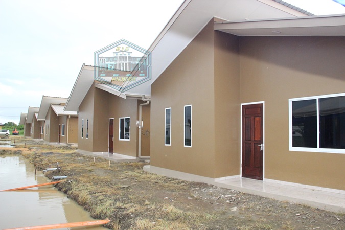 Description or Alt Text