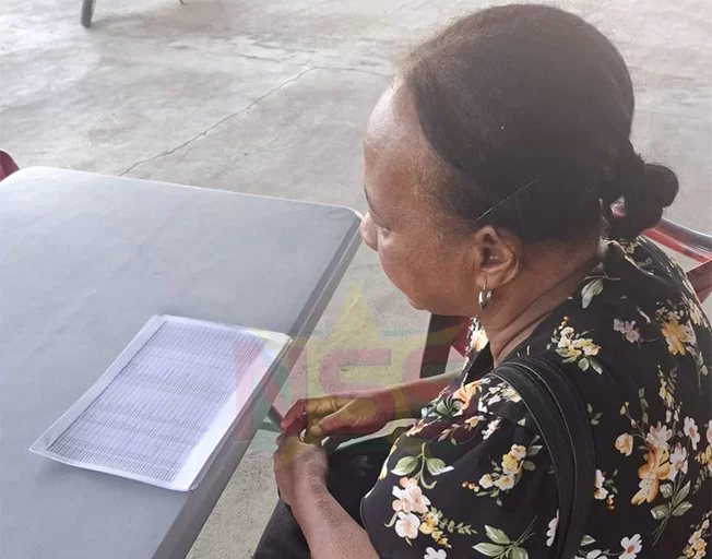 Description or Alt Text