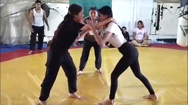 Description or Alt Text