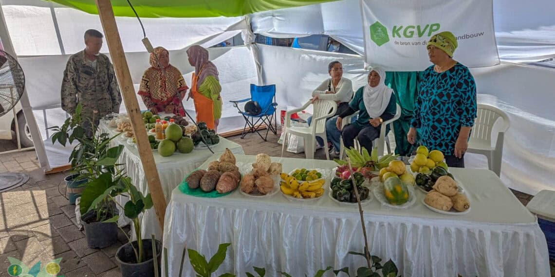 Description or Alt Text