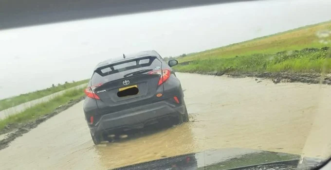 Description or Alt Text