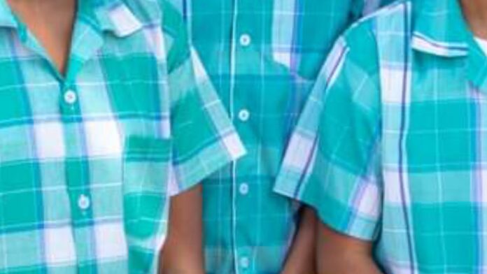 Description or Alt Text