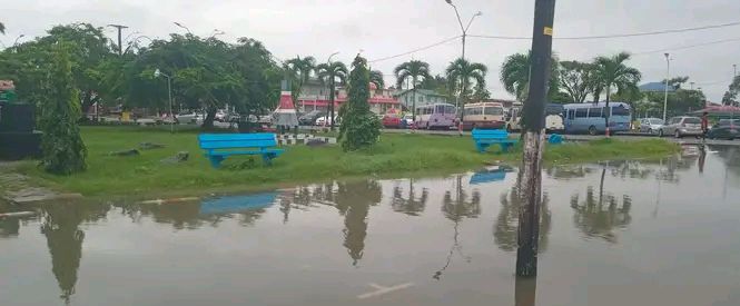 Description or Alt Text